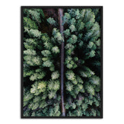 Scandinavian Forest And Quote Canvas